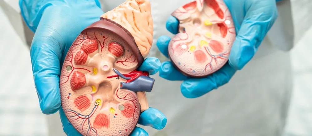 Diabetic nephropathy (kidney disease)