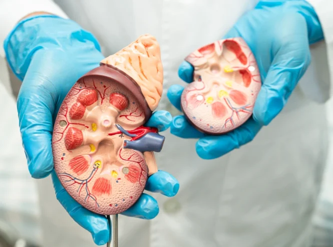 Diabetic nephropathy (kidney disease)