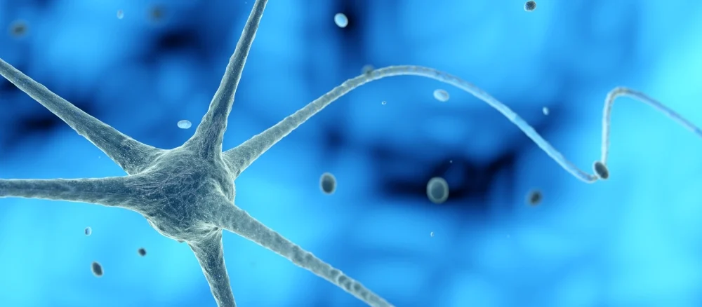 Diabetic neuropathy (nerve damage)