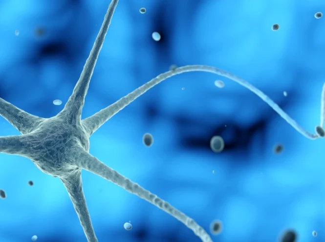 Diabetic neuropathy (nerve damage)